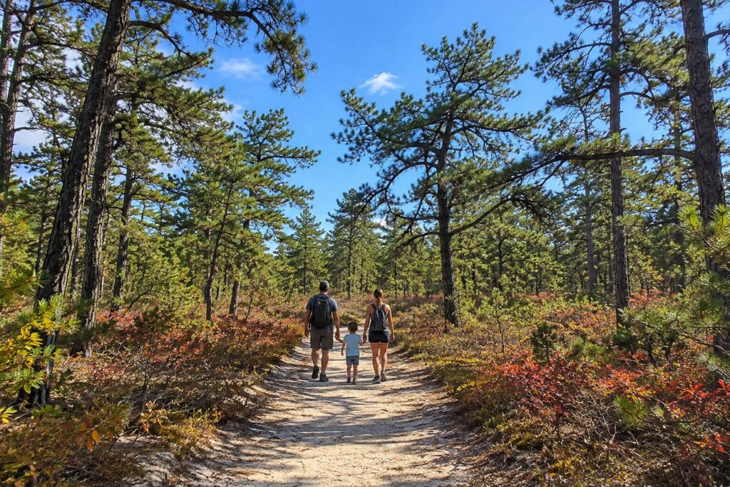 Sandy Batona Trail through the Pine Barrens
