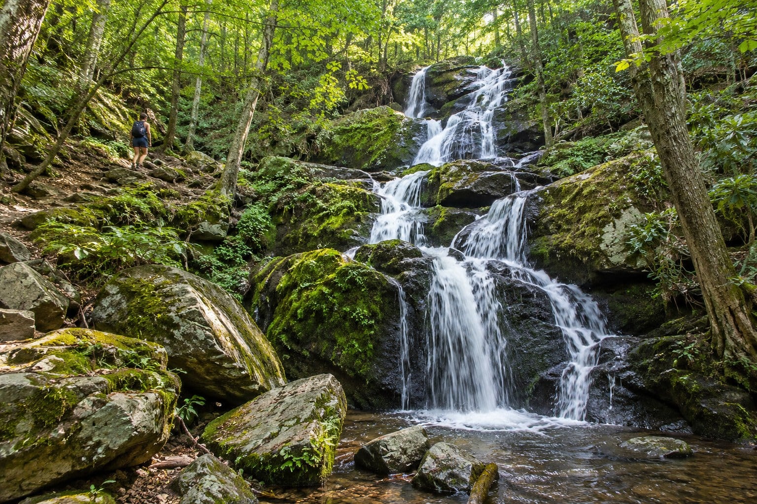 Dark Hollow Falls in Shenandoah National Park