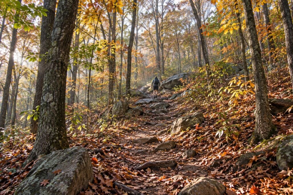 Old Rag trail through early-autumn forest