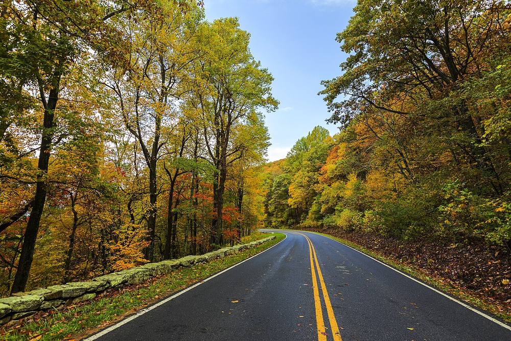 Skyline Drive curving through the Blue Ridge Mountains with autumn foliage in Shenandoah National Park